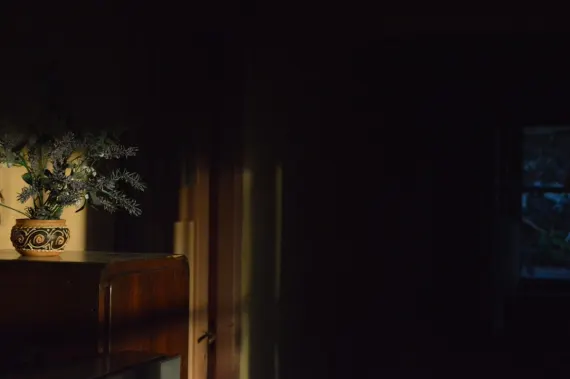 Trada Casino Supporto